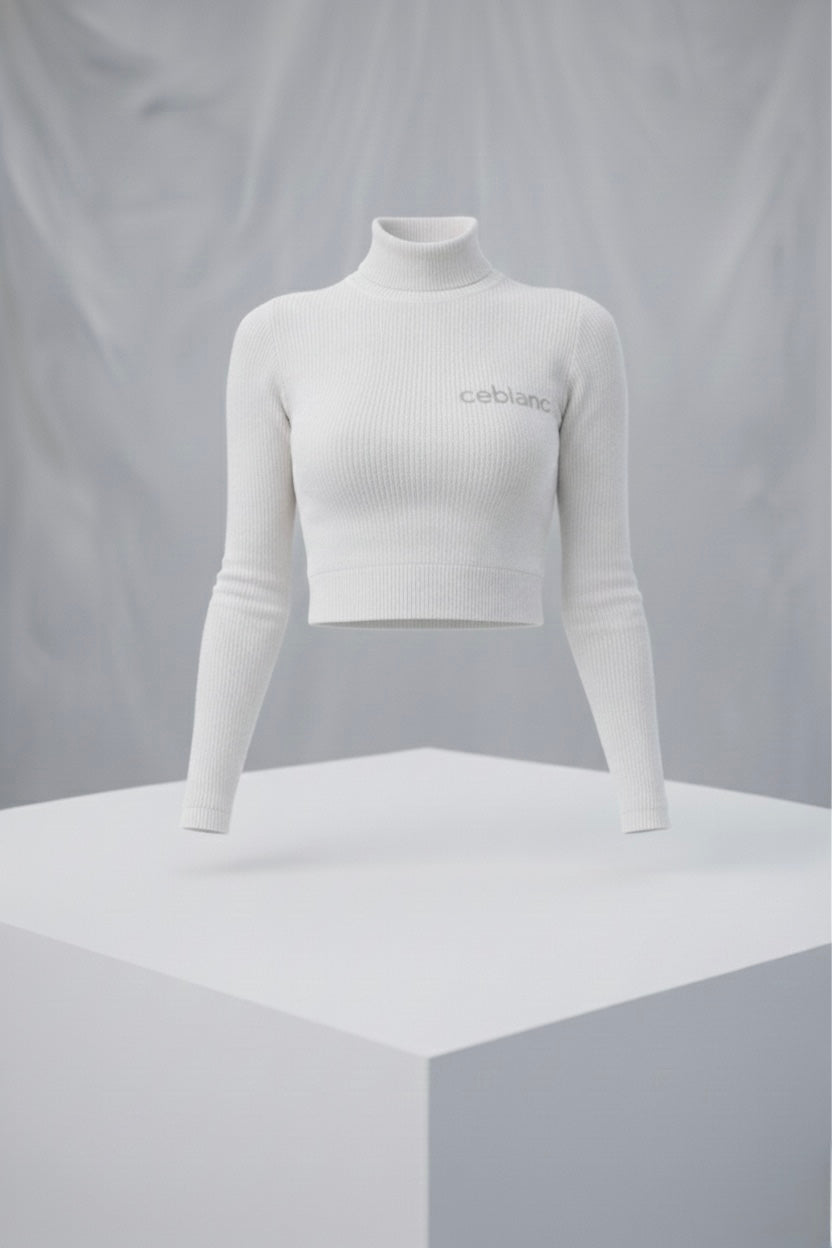Mock Neck Crop Top